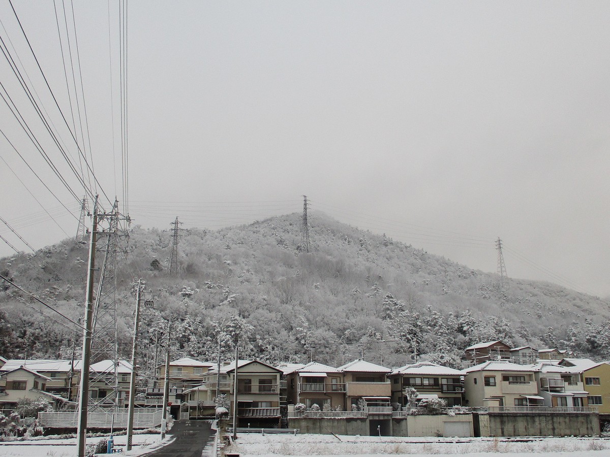 Re: 60s RandC 新春カレー