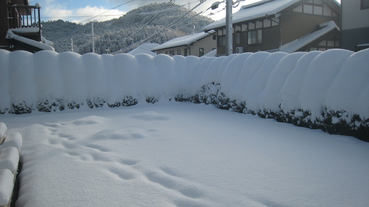 Re:新春カレーOFF